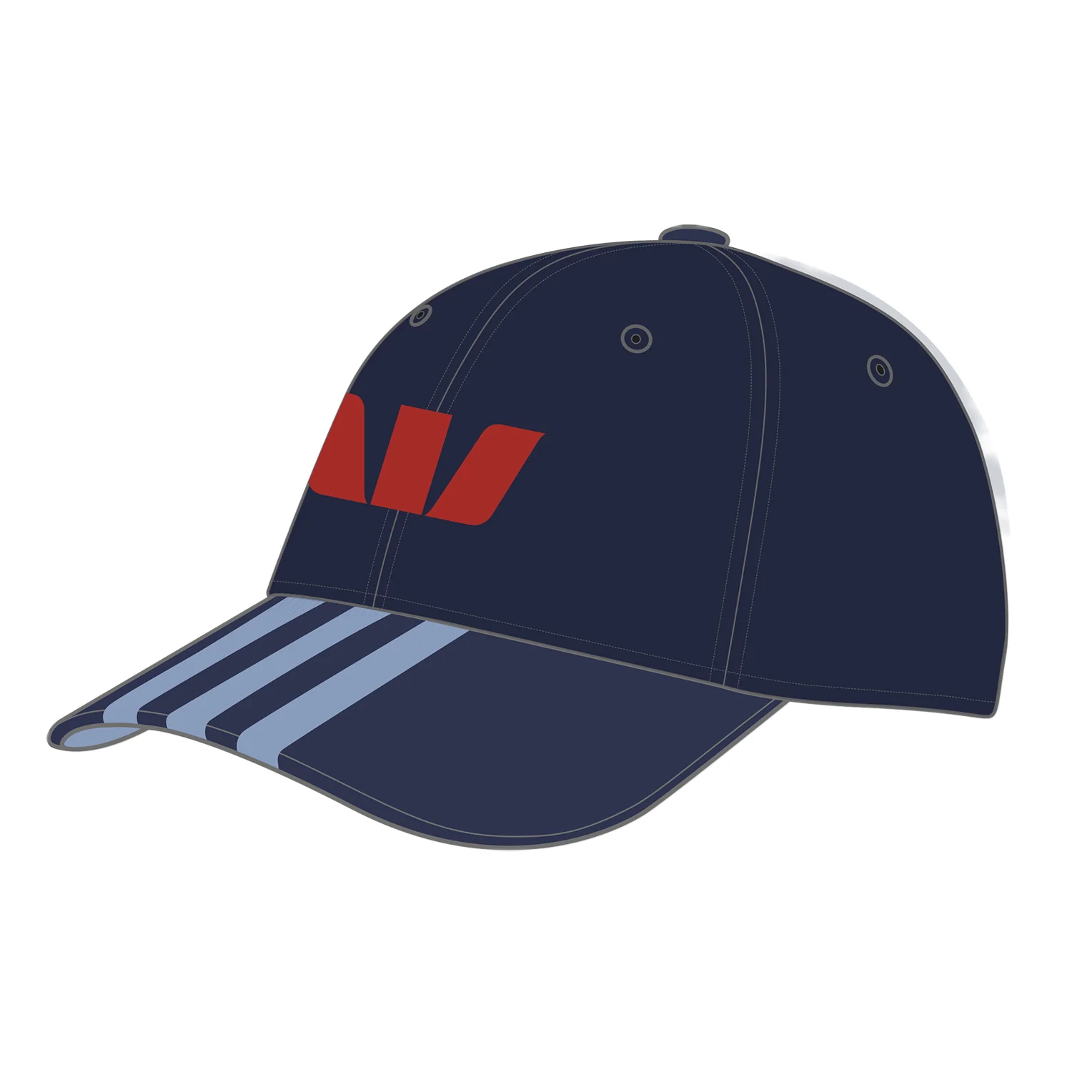 NSW Blues 2025 Adult Media Cap